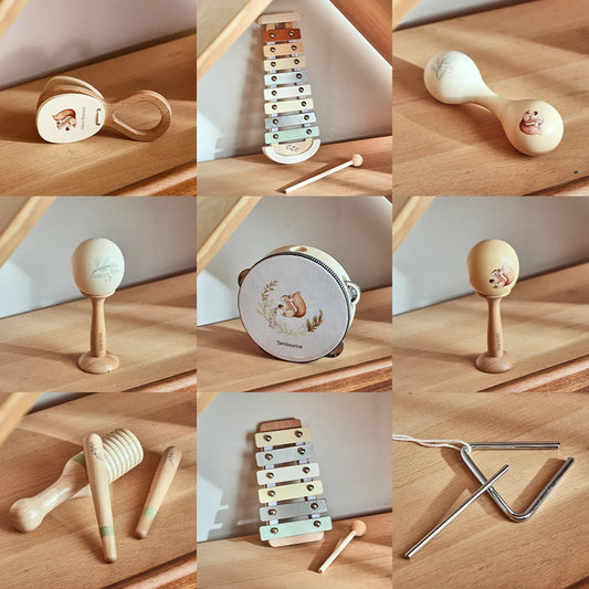 Montessori Baby Instrumente